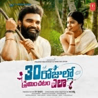 Neeli Neeli Aakasam album art